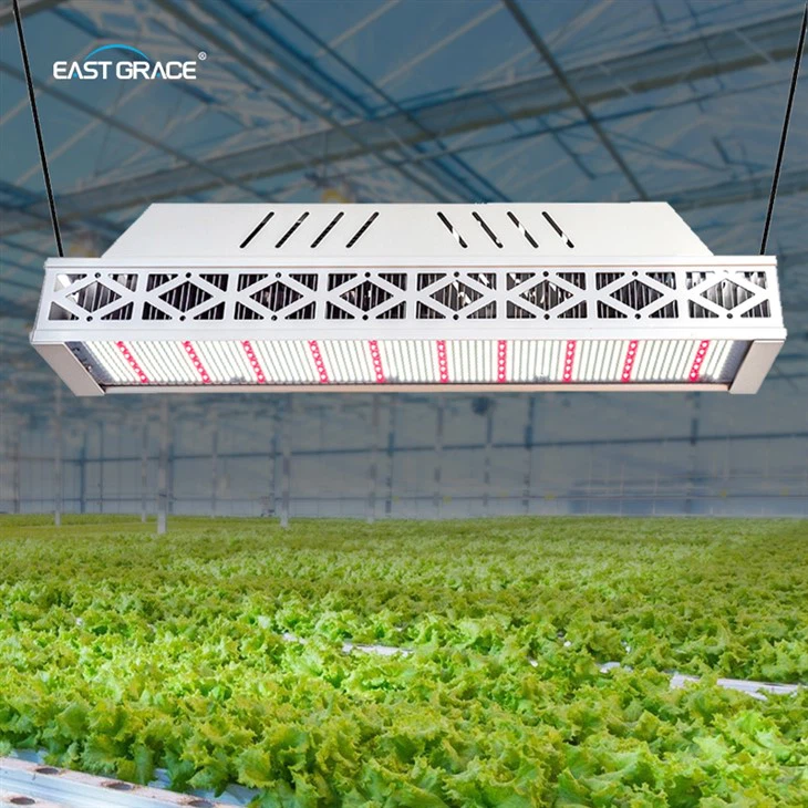900W IP65 Dimmable LED Grow Light Lighting Fixture